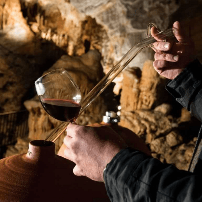 Vinospéléologie