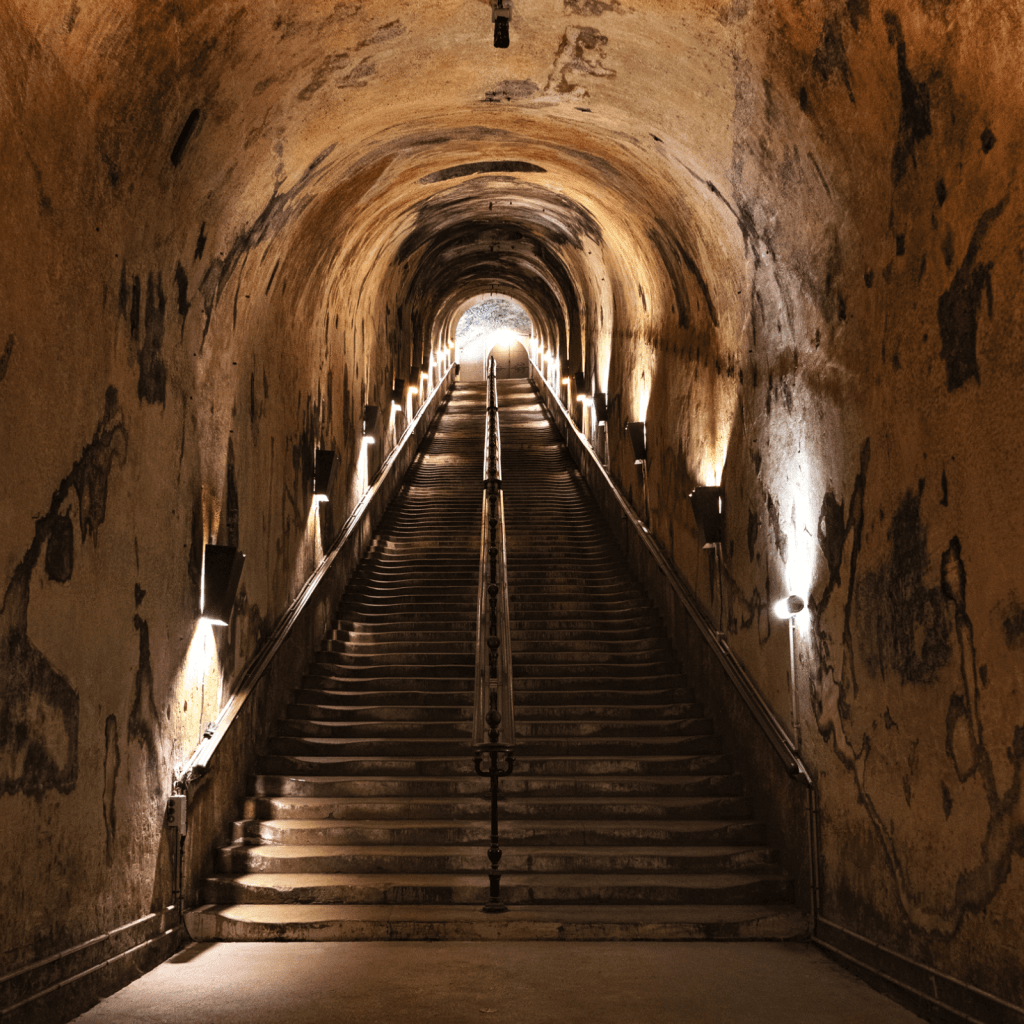 Exposition et Visite libre des Caves