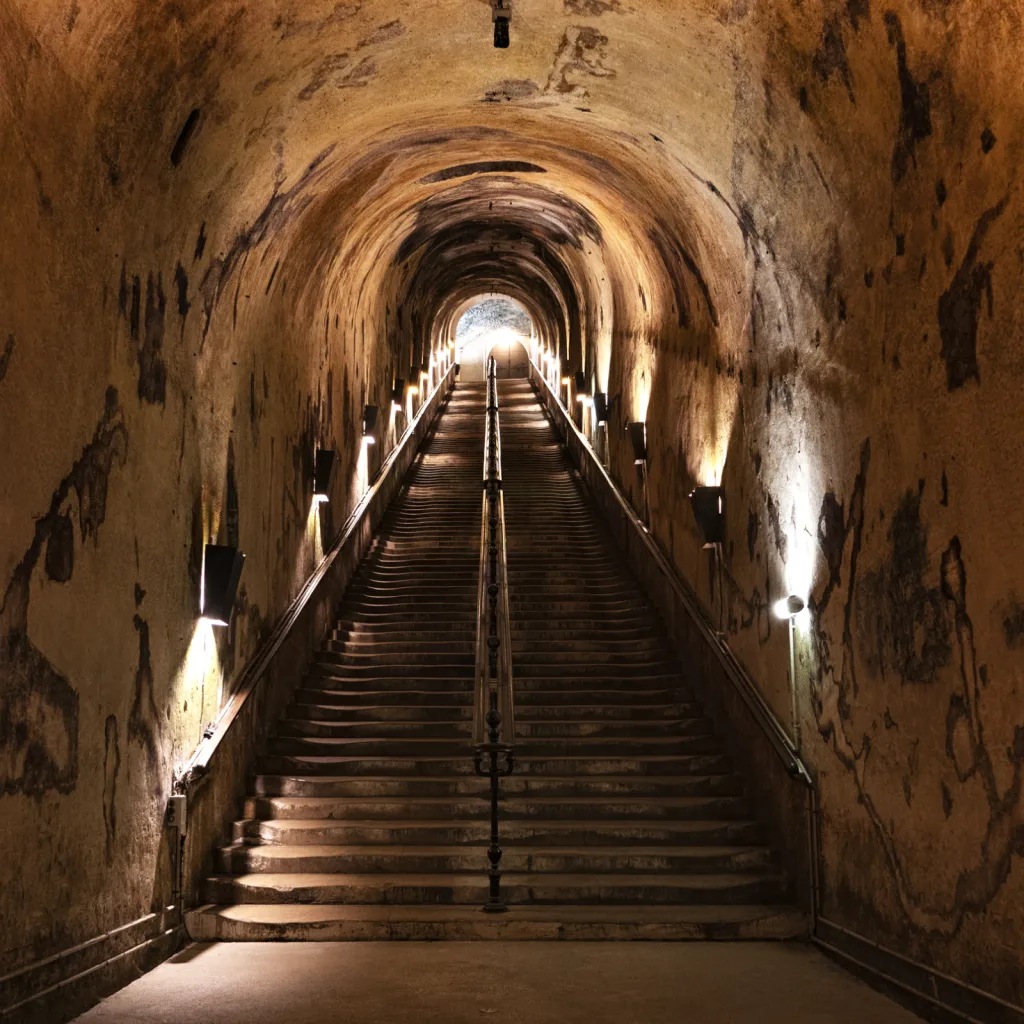 Exposition et Visite guidée des Caves