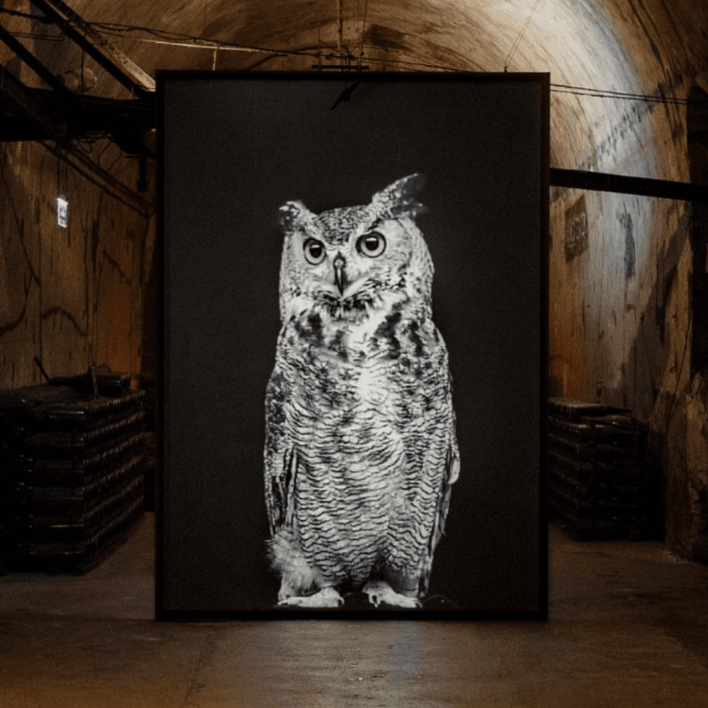 Exposition et Visite libre des Caves