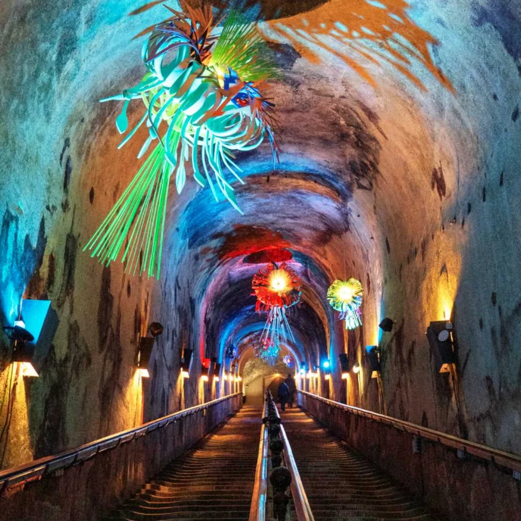 Exposition et Visite guidée des Caves