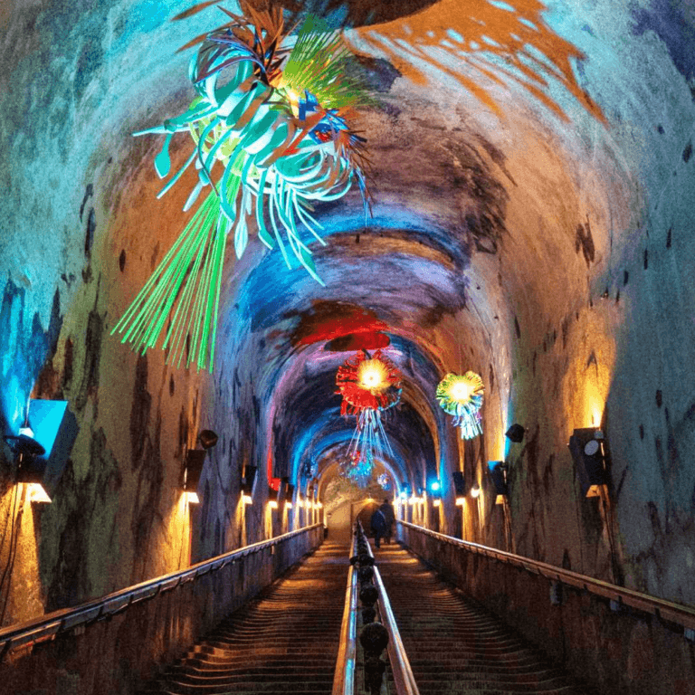 Exposition et Visite guidée des Caves