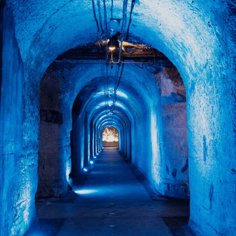 Exposition et Visite libre des Caves