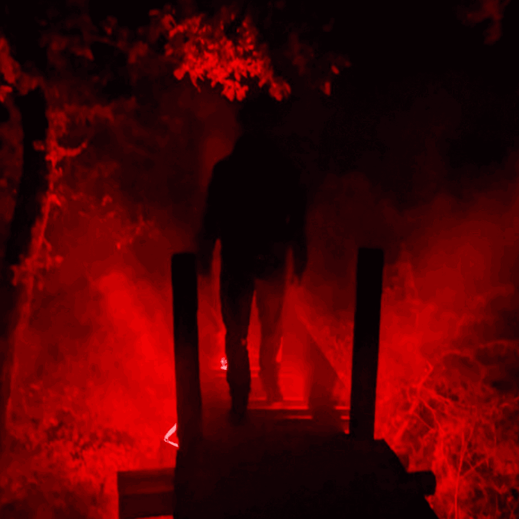 Entre vignes et lumières