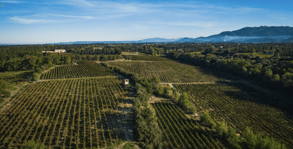 Domaine Brunely