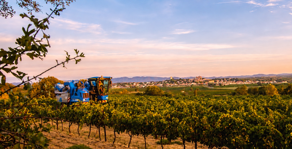 Domaine Bassac