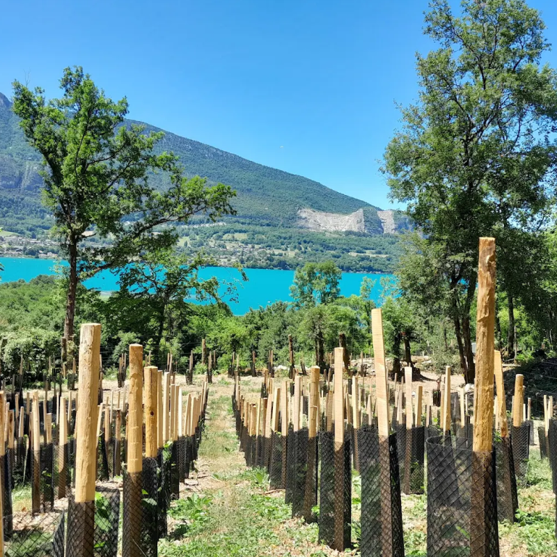 Route des vins du lac d&rsquo;Annecy