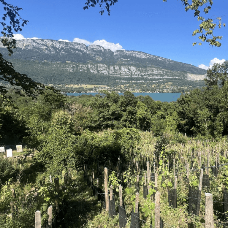 Balade Art et Vignes