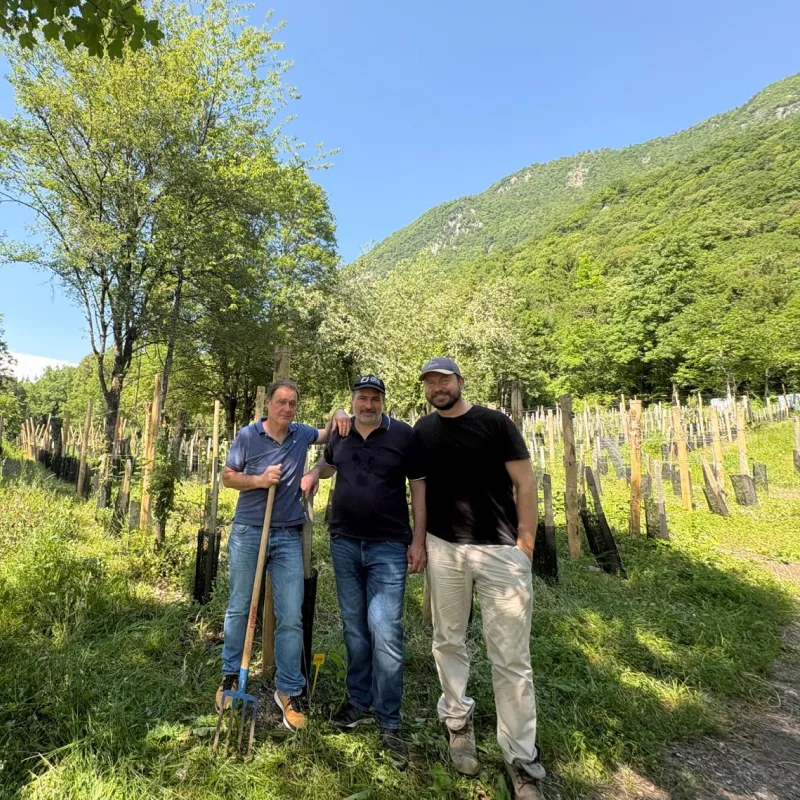 Balade Art et Vignes