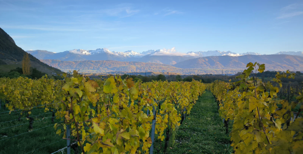 Domaine des Albatros