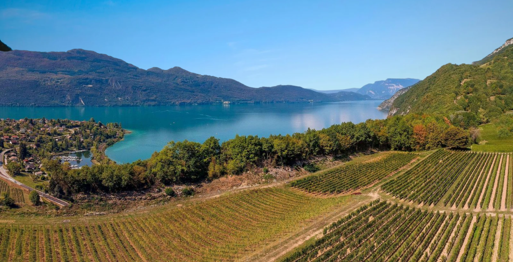 Domaine Jacqueline