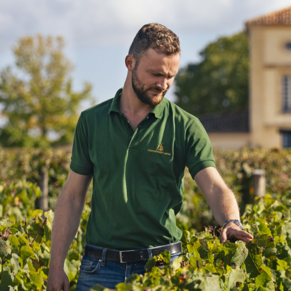 Grégoire Bucaille, Chef de Culture