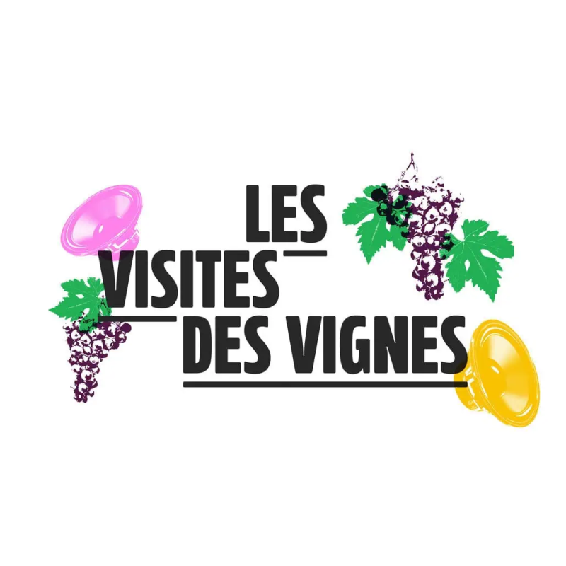 Visite des vignes