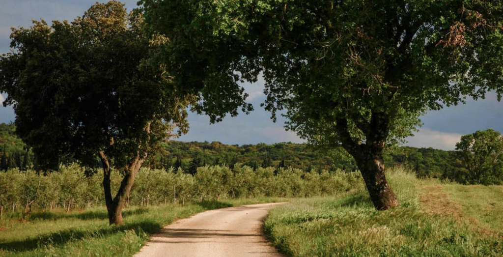 Domaine de Panéry